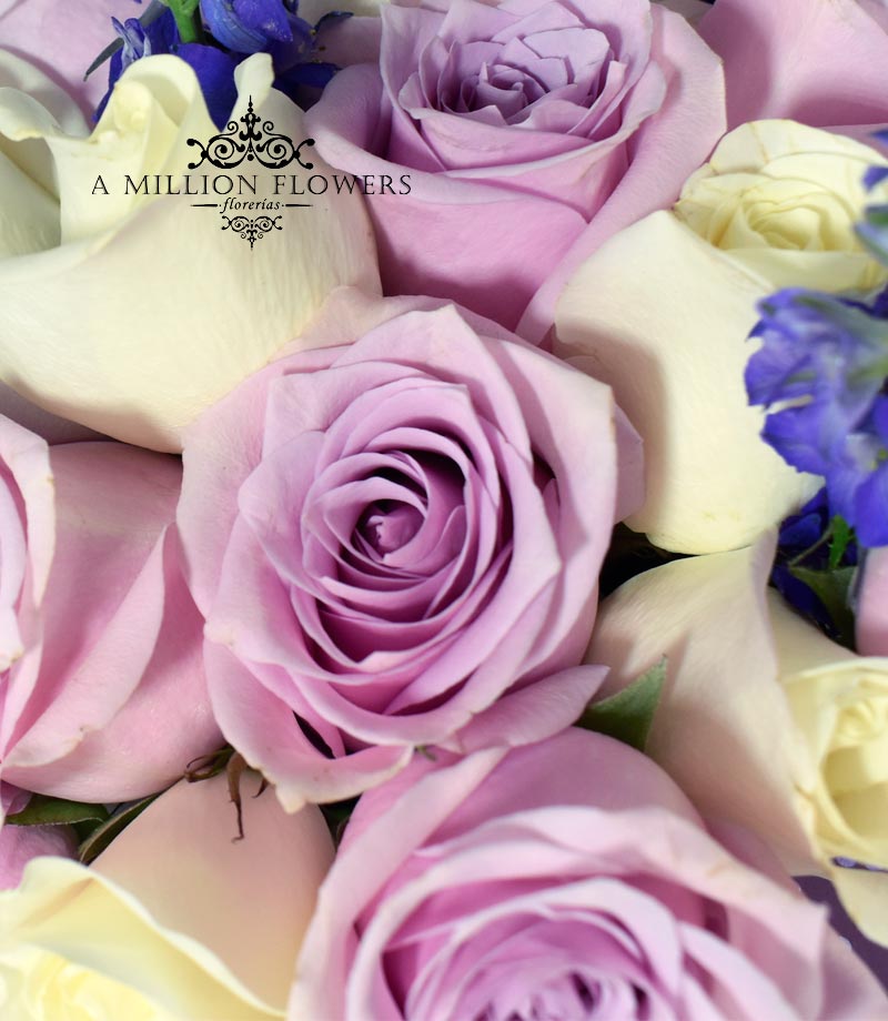 Diseño summer garden rosas