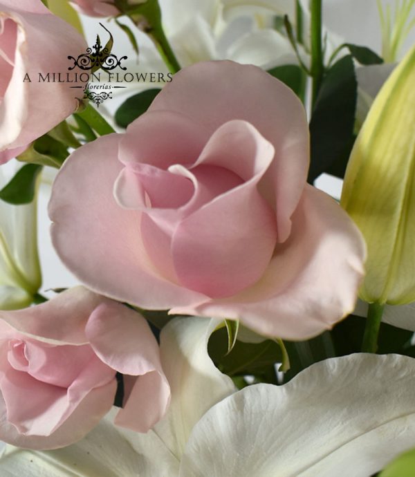 Arreglo floral pureza de rosas-detalle