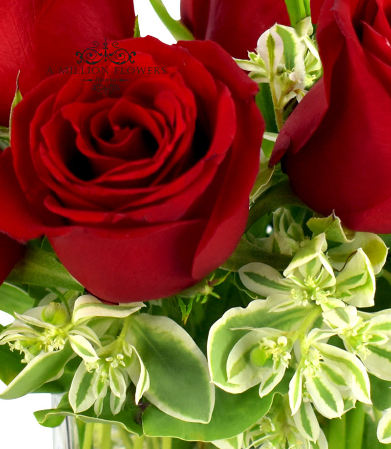 agenda Al borde conspiración Arreglo elegante rosas rojas - Florería A Million Flowers