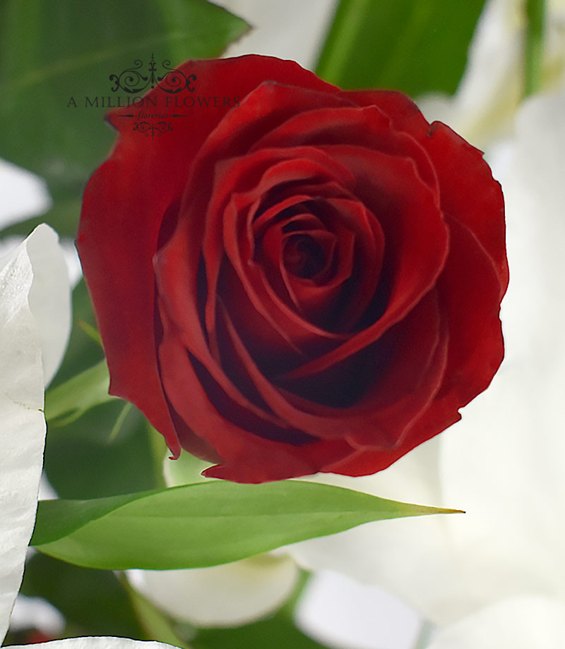 Arreglo de rosas Soberano