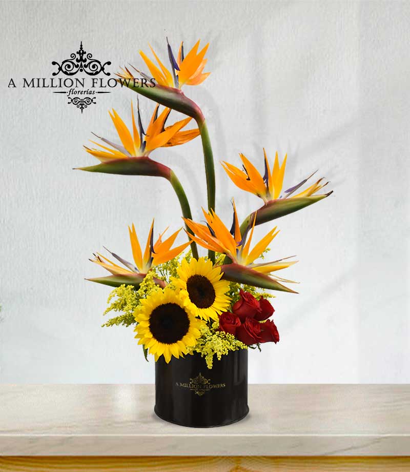 flores a domicilio