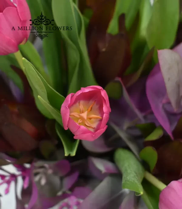 diseno-floral-romance-tulipan