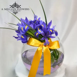 diseno-floral-grecia-iris