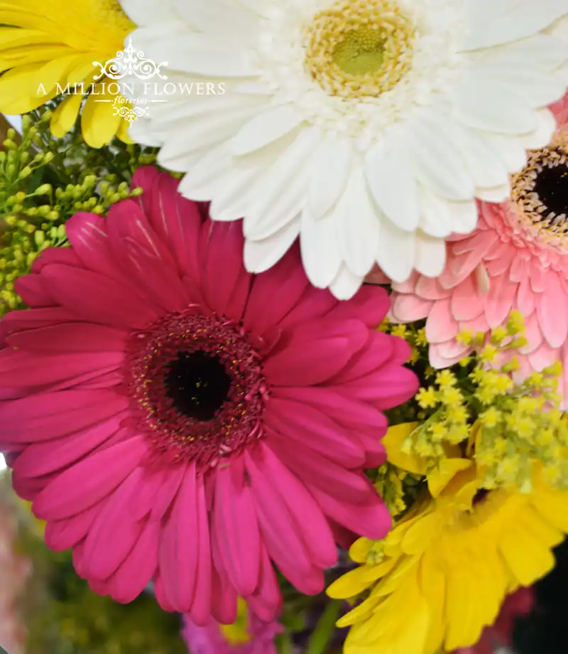 arreglo-floral-madrid-gerbera