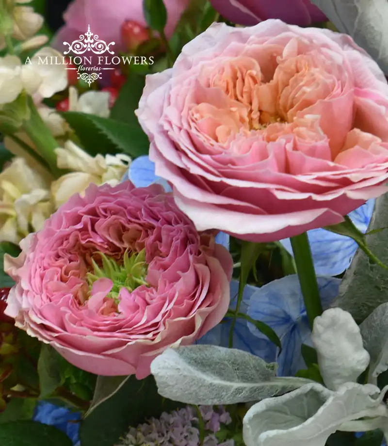 arreglo-floral-mussy-rosa-inglesa