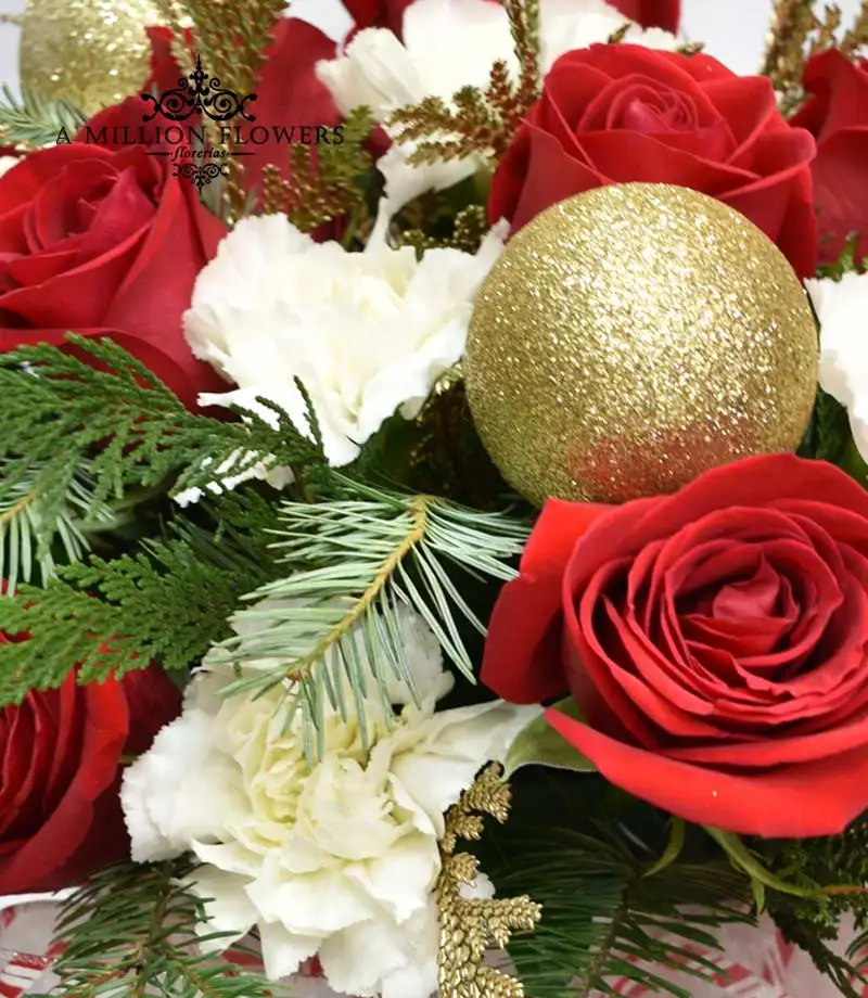 diseño-floral-pasion-navideña-flor