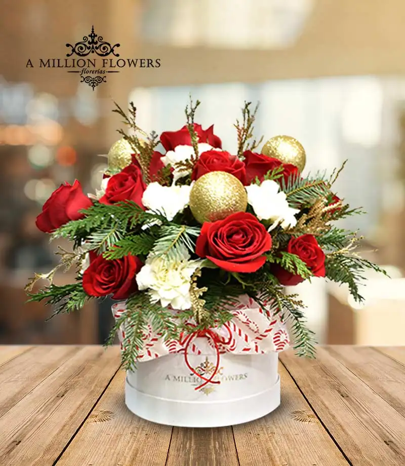 diseño-floral-pasion-navideña