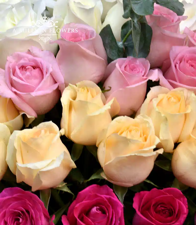 arreglo-floral-napolitano-rosas-y-papalo