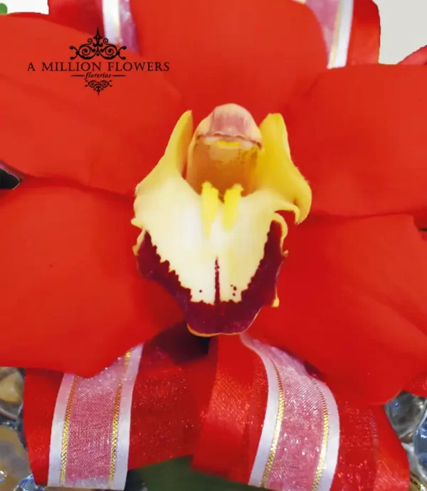 arreglo-floral-xanic-orquidea
