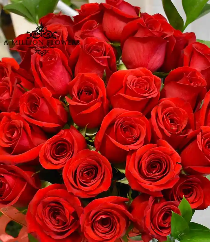 arreglo-rosas-amor-infinito-rosas-rojas