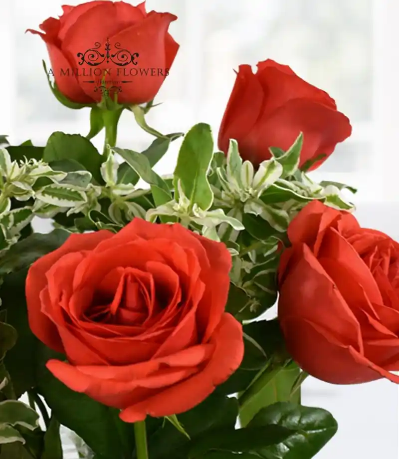 arreglo-de-rosas-insigne-follaje