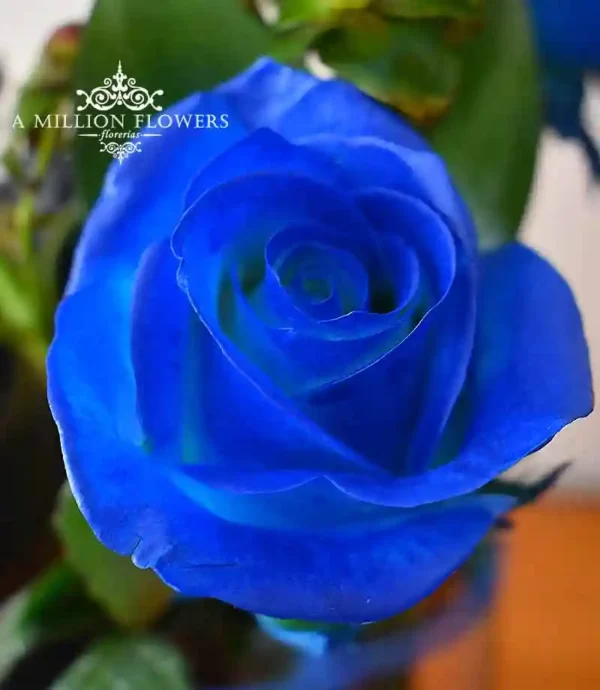 arreglo-floral-consentido-rosa-azul