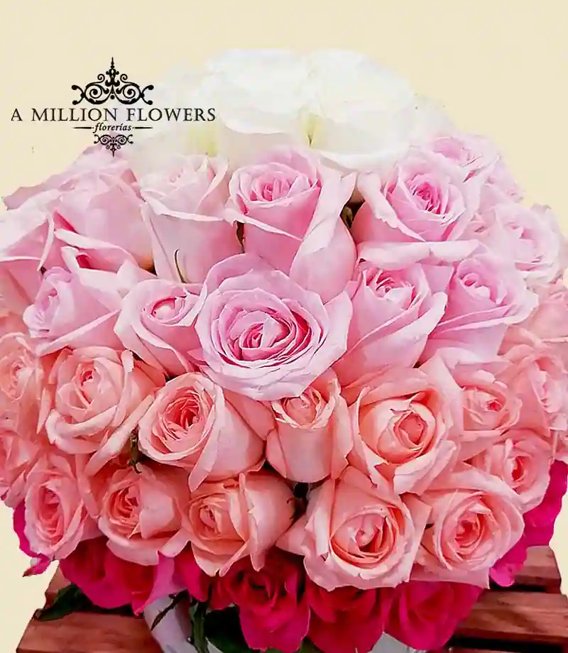 arreglo-floral-coqueta-rosas