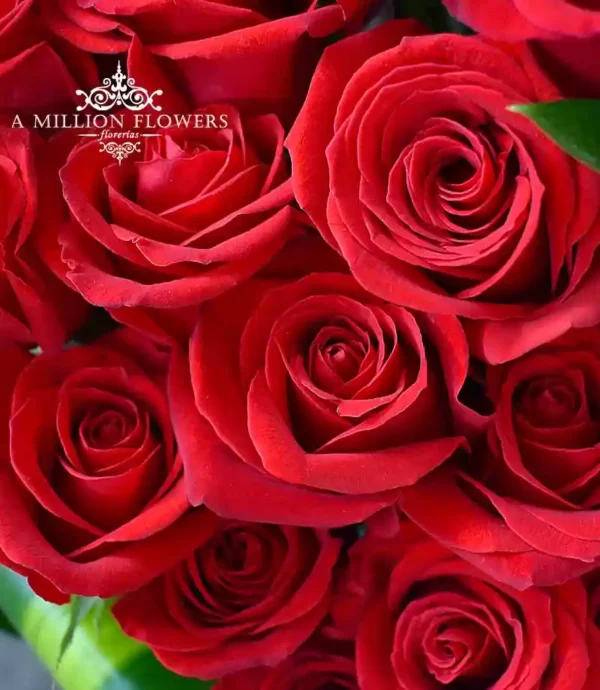 arreglo-floral-curva-de-amor-rosas-rojas