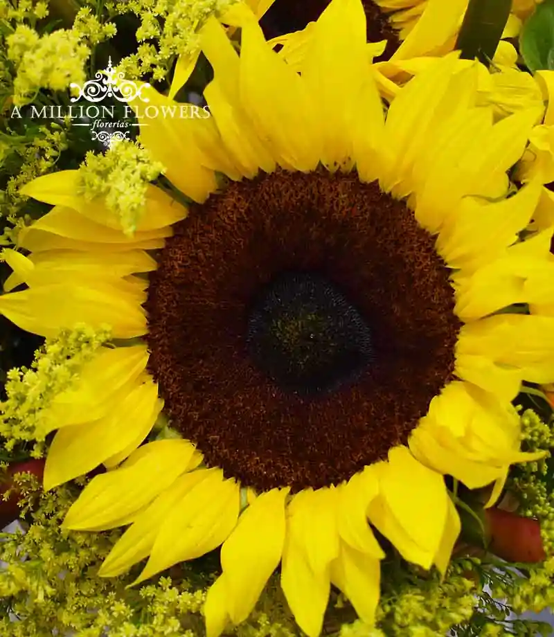 arreglo-floral-energía-girasol