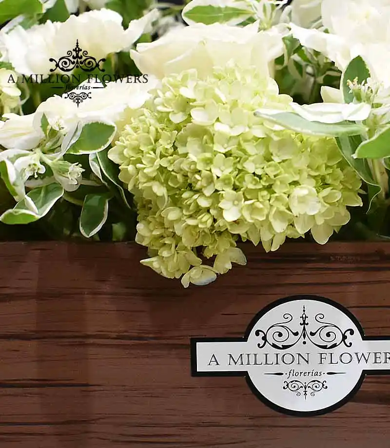 arreglo-floral-eternidad-hortensias