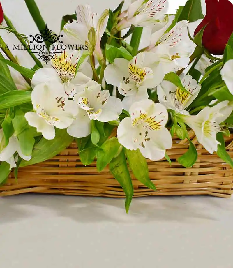 arreglo-floral-explosion-canasta