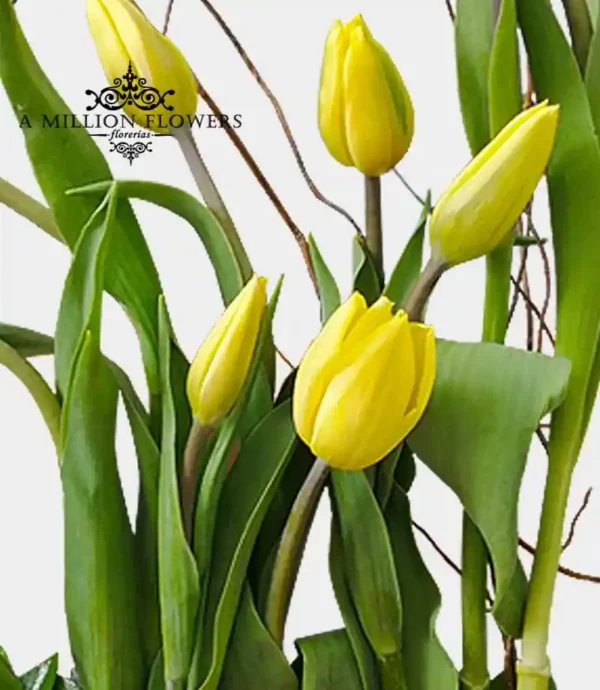 arreglo-floral-fortaleza-tulipanes