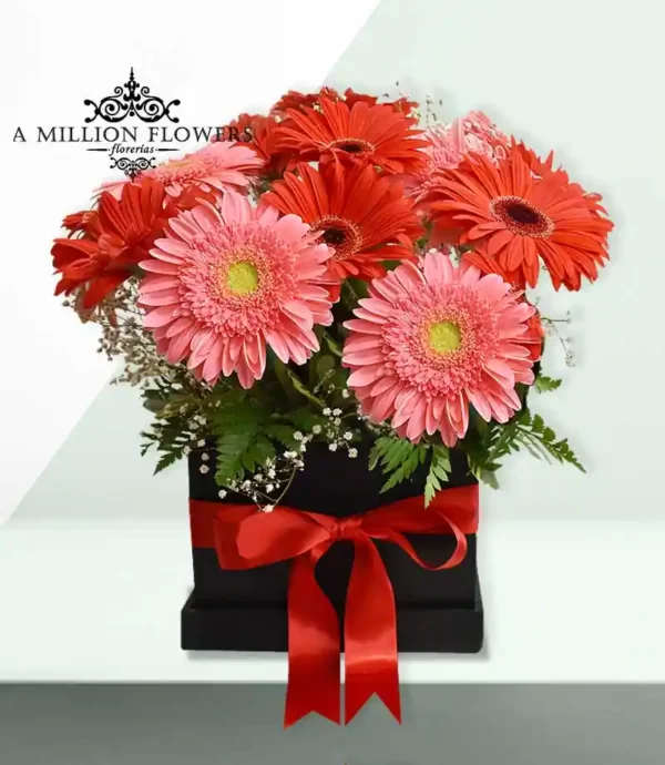 arreglo-floral-gerbera-en-caja