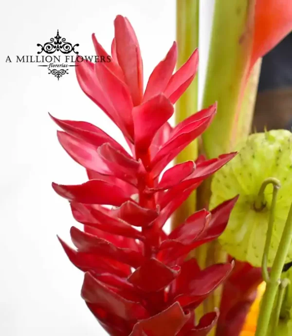 arreglo-floral-heliconia-hawaiiana