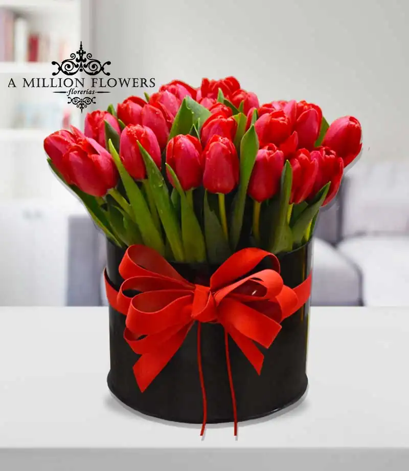 arreglo-floral-holland
