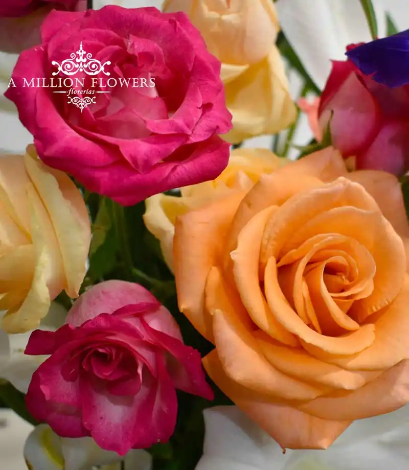 arreglo-floral-inmensidad-rosas