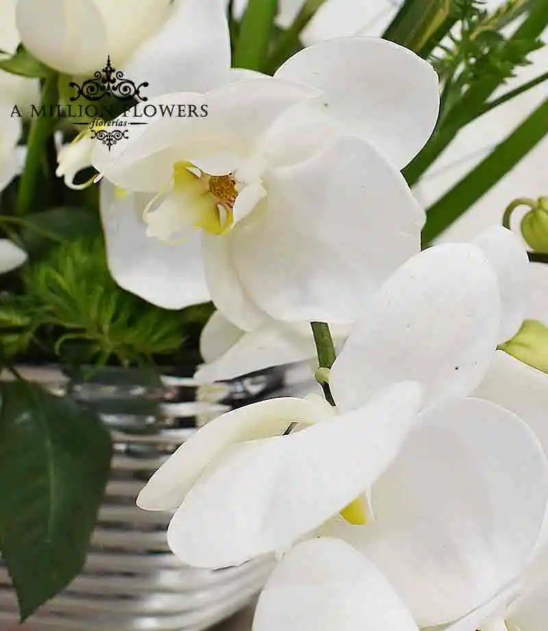 arreglo-floral-inocencia-orquidea