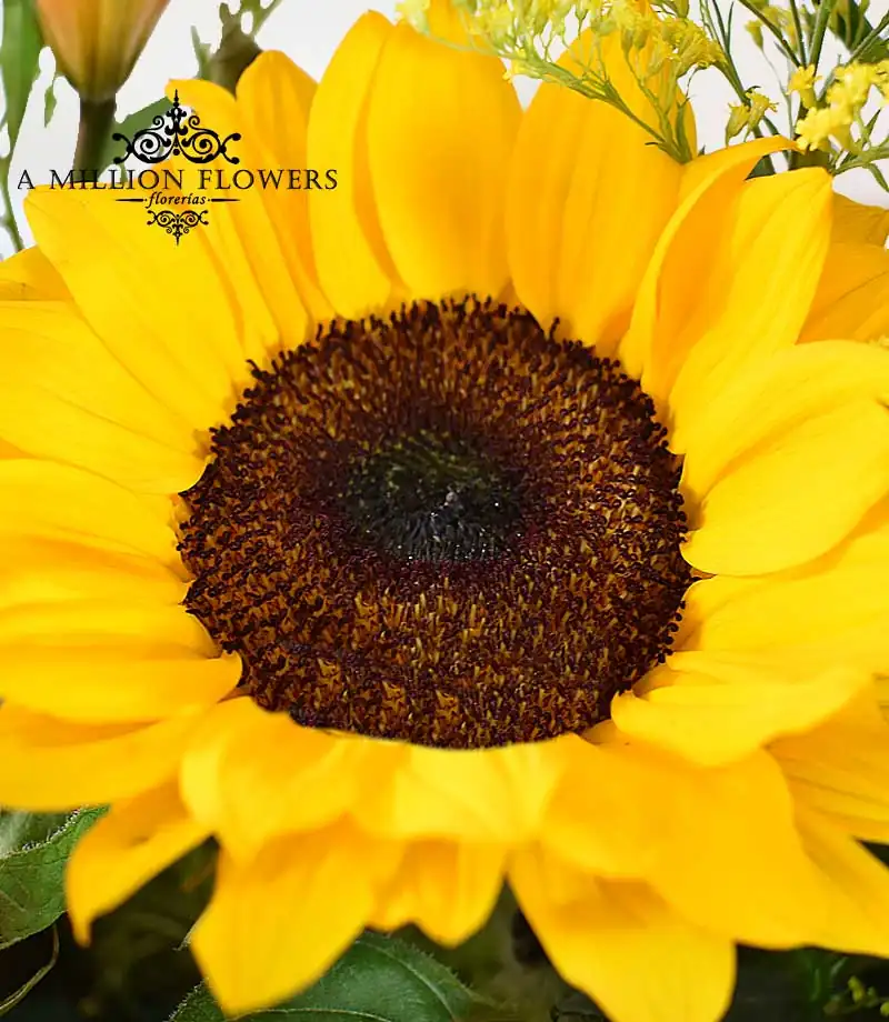 arreglo-floral-magia-girasol
