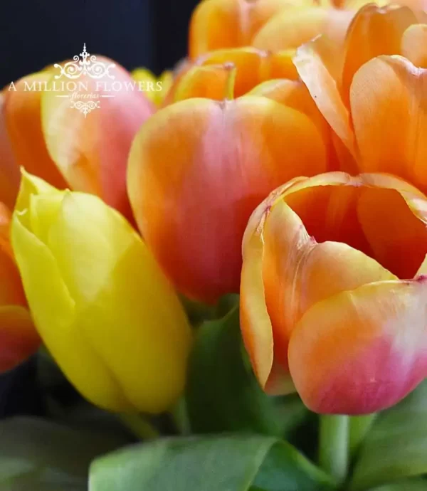 arreglo-floral-maravilloso-despertar-tulipanes