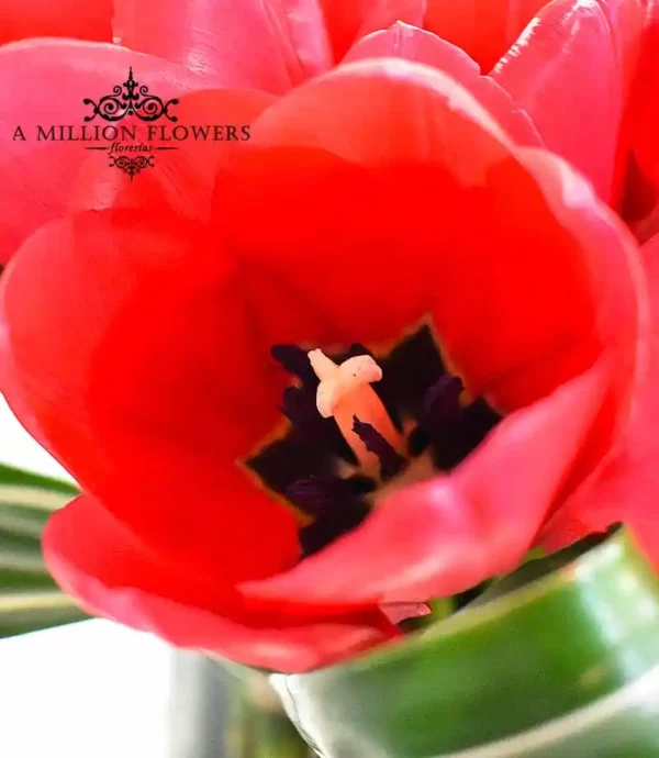 arreglo-floral-marea-de-amor-tulipan