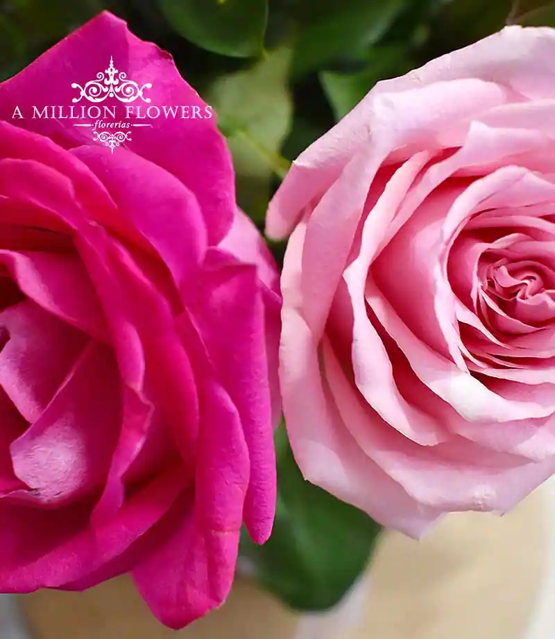 arreglo-floral-miradas-rosas
