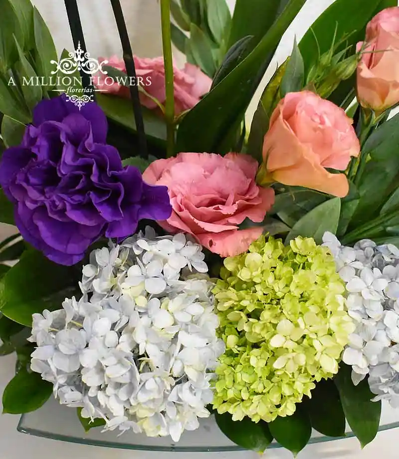arreglo-floral-phalaenopsis-hortensias