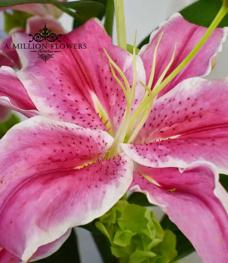 arreglo-floral-reina-lili