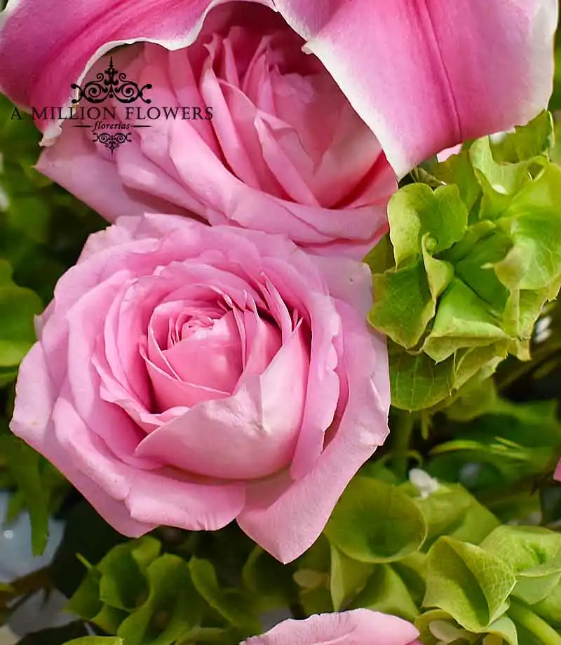 arreglo-floral-reina-rosas