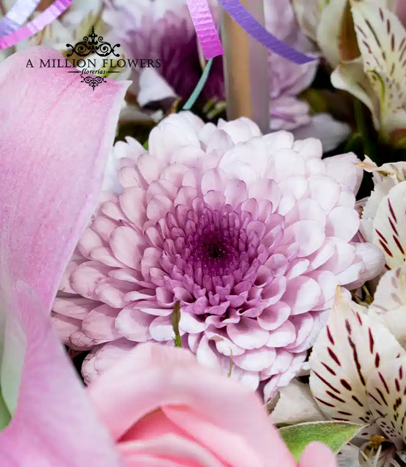 arreglo-floral-volare-dante