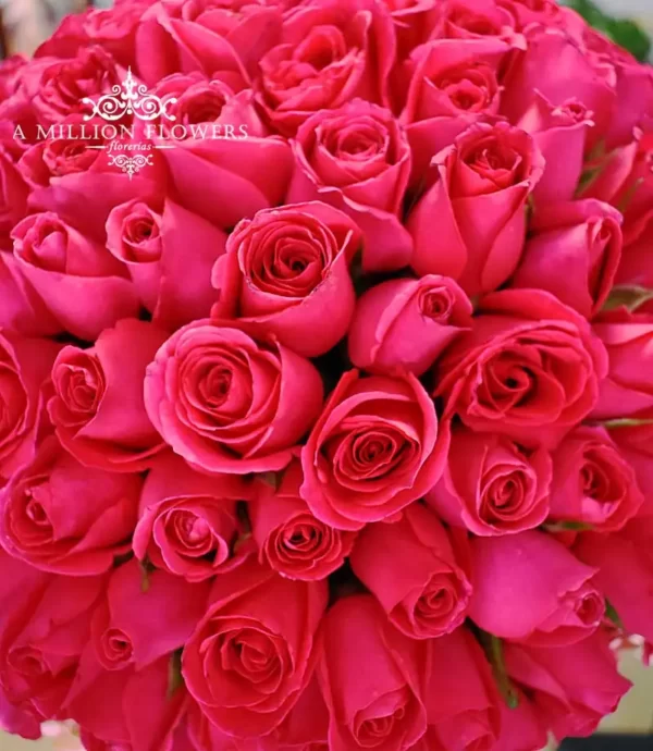 diseno-floral-hermosa-rosas