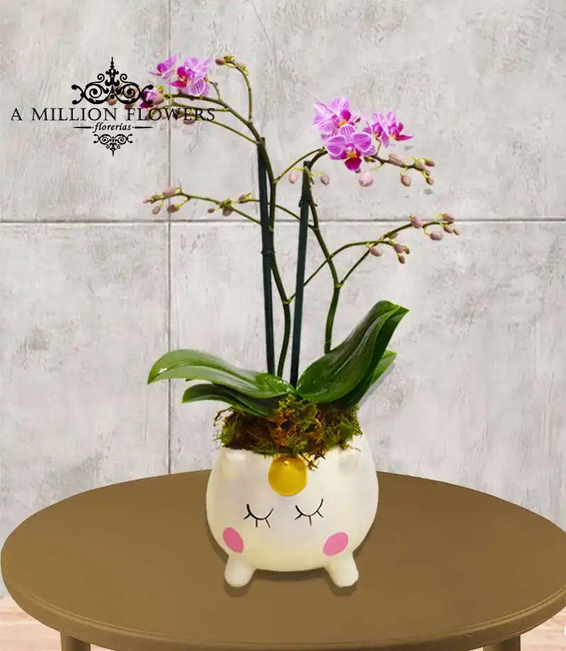 diseno-floral-unicornio