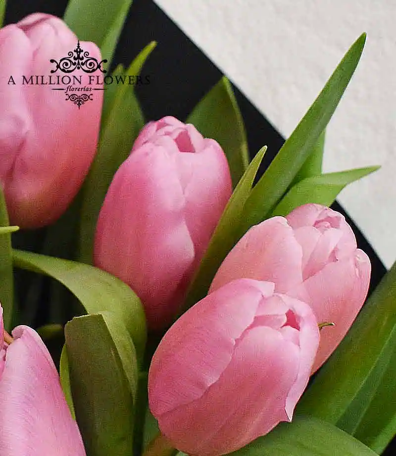 ramo-floral-afectuoso-tulipanes