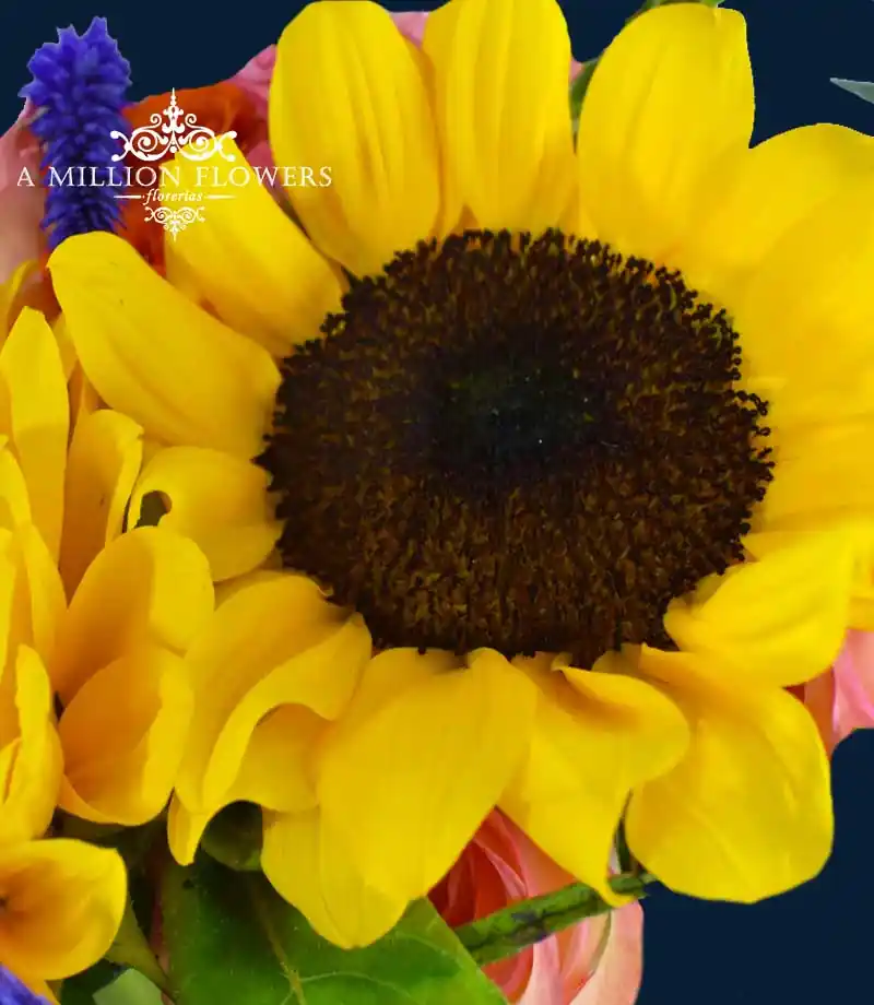 ramo-floral-autentica-girasol