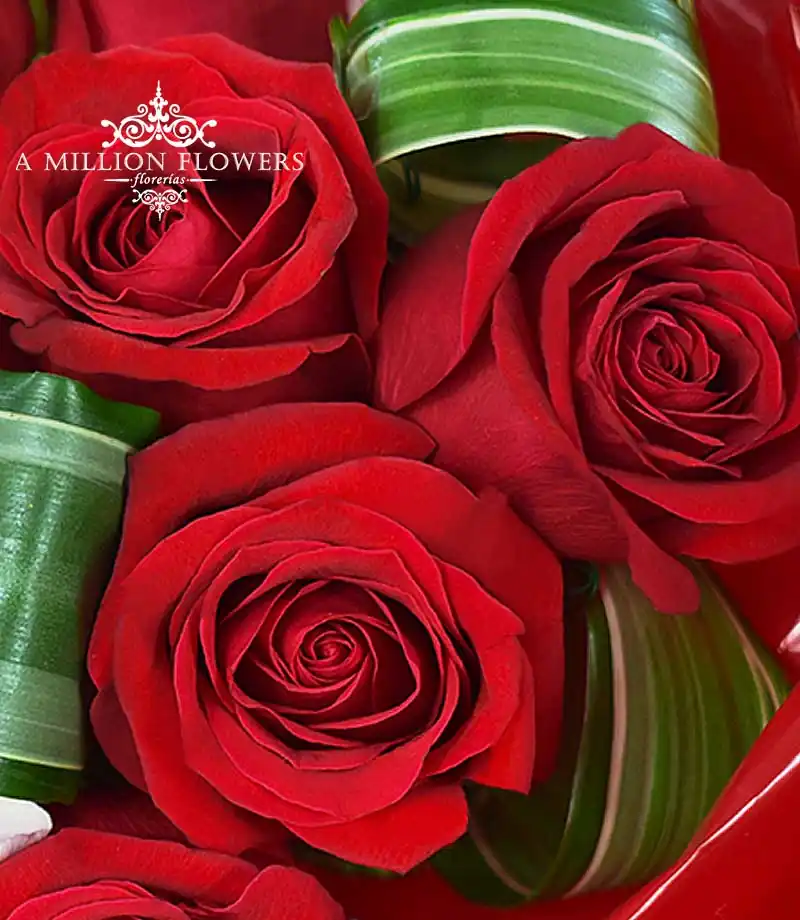 ramo-floral-carmesi-rosas