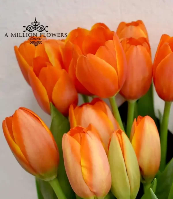 ramo-floral-exito-tulipanes