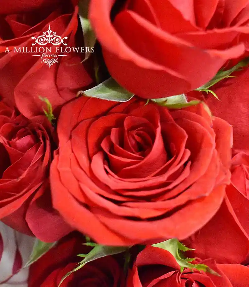 ramo-floral-fuerza-rosas