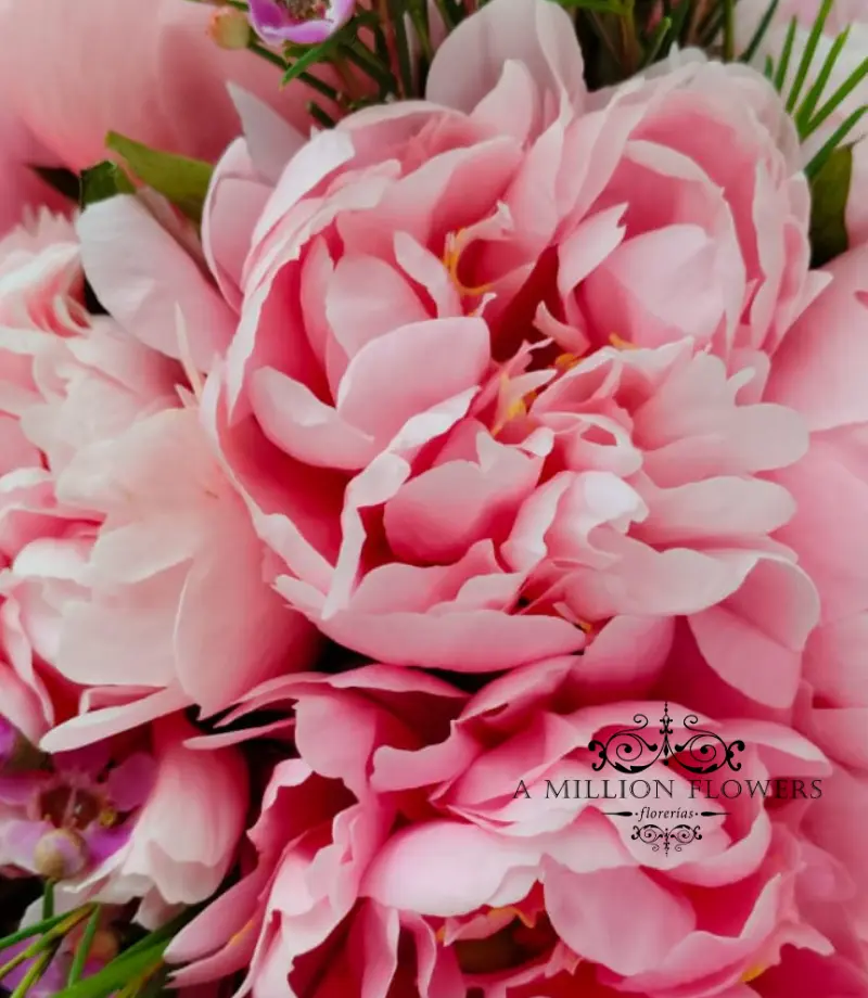 Ramo Floral Francia - Imagen 2